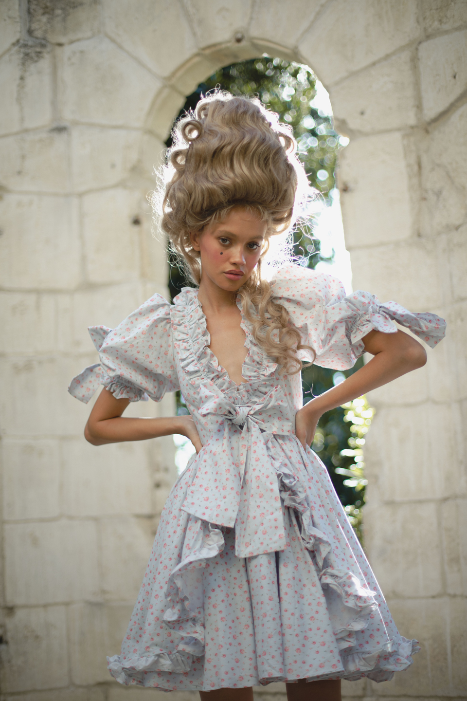 The Chateau Rose Marie Dress